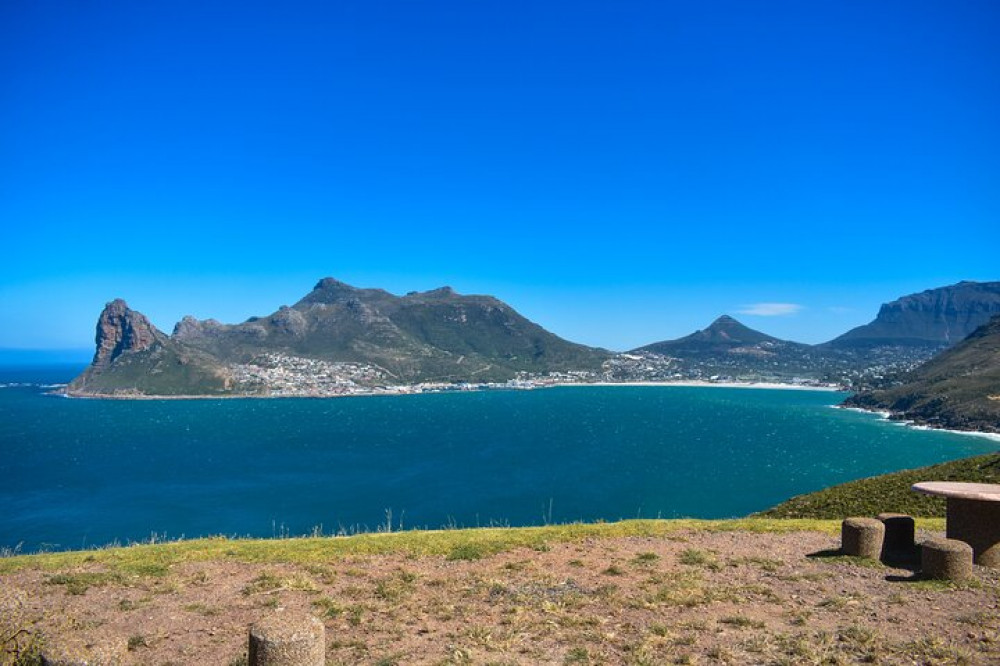 Half Day Boulders Beach Penguin Colony Tour From Cape Town Cape Town