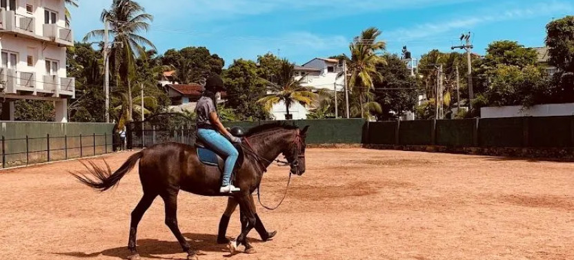 Horse Riding in Colombo