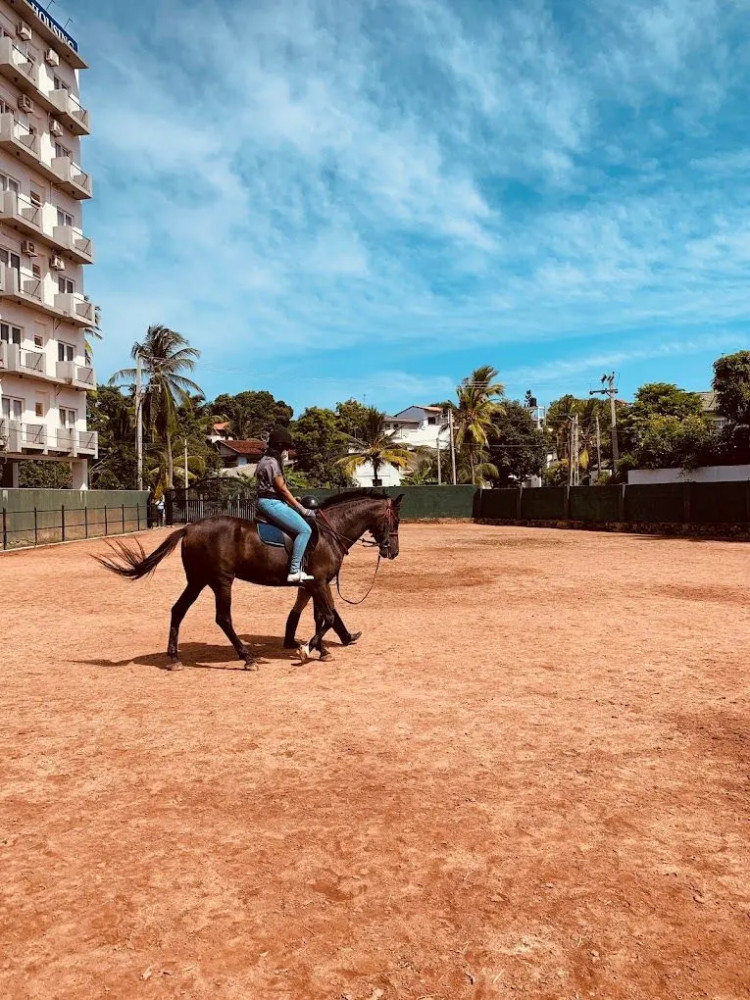 Horse Riding in Colombo