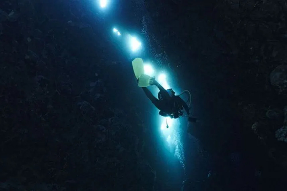 Night Diving in Mirissa