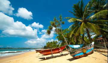 A picture of 8 Day of Sri Lanka's Pristine Beaches