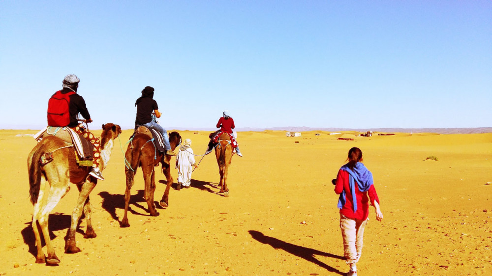 11 Days Blue Alleys to Desert – Journey Through Culture & Landscapes