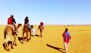 A picture of 11 Days Blue Alleys to Desert – Journey Through Culture & Landscapes