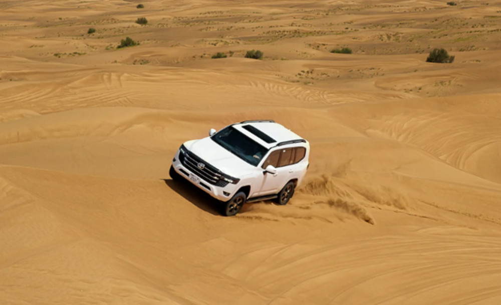 Dune and Sandboard on an Evening Desert Safari with Dinner and Show