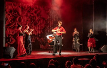 TEATRO FLAMENCO MADRID8