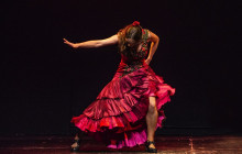 TEATRO FLAMENCO MADRID9