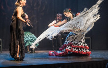 TEATRO FLAMENCO MADRID7