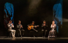 TEATRO FLAMENCO MADRID10