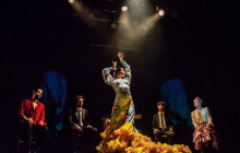 TEATRO FLAMENCO MADRID11