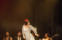 TEATRO FLAMENCO MADRID12