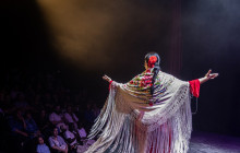 TEATRO FLAMENCO SEVILLA4