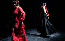 TEATRO FLAMENCO SEVILLA8