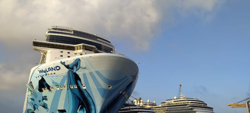 Private City Tour for Cruises