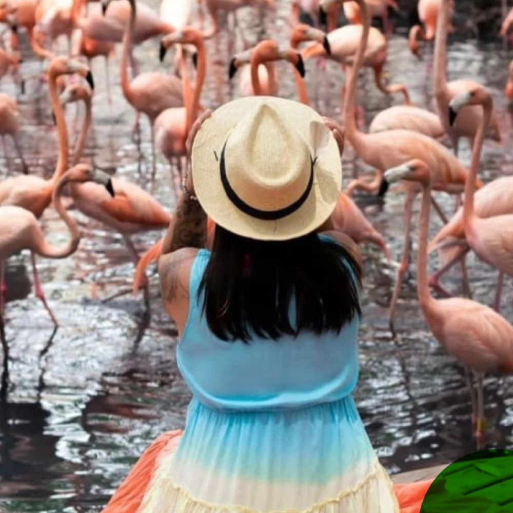 Tour to The National Aviary of Colombia