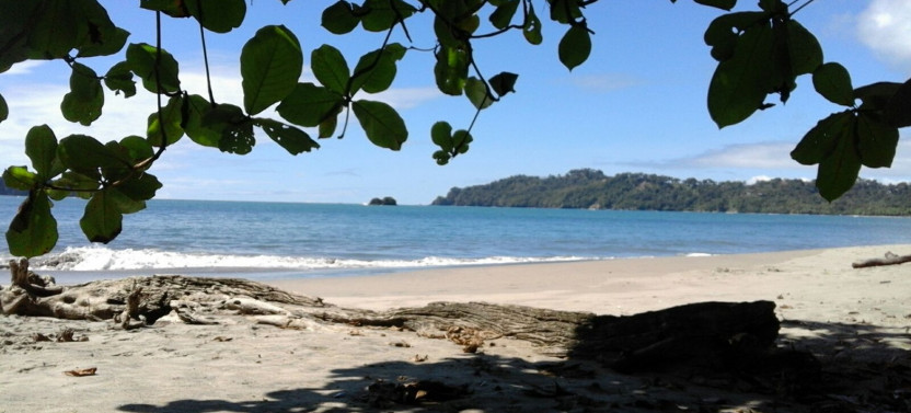VIP Private One-Way Transfer La Fortuna to Manuel Antonio Beach