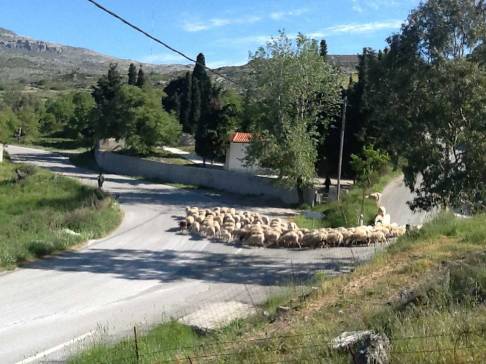 4 Days: Highlights of Crete - Monday Departures