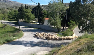 A picture of 4 Days: Highlights of Crete - Monday Departures