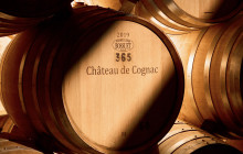 Château de Cognac1