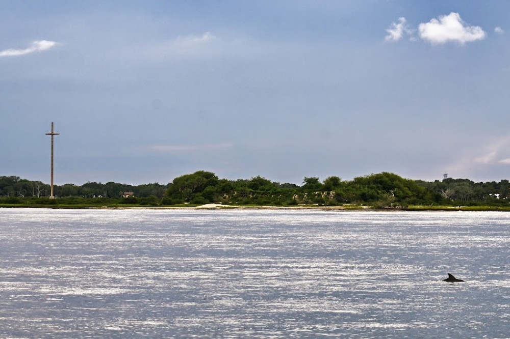 Dolphin Watch & Historical Harbor Tour