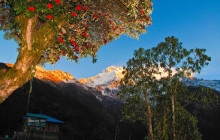 Glorious Himalaya Trekking Pvt Ltd1