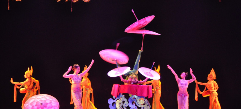 Beijing Red Theater Acrobatic Show with Peking Duck Dinner Private Tour
