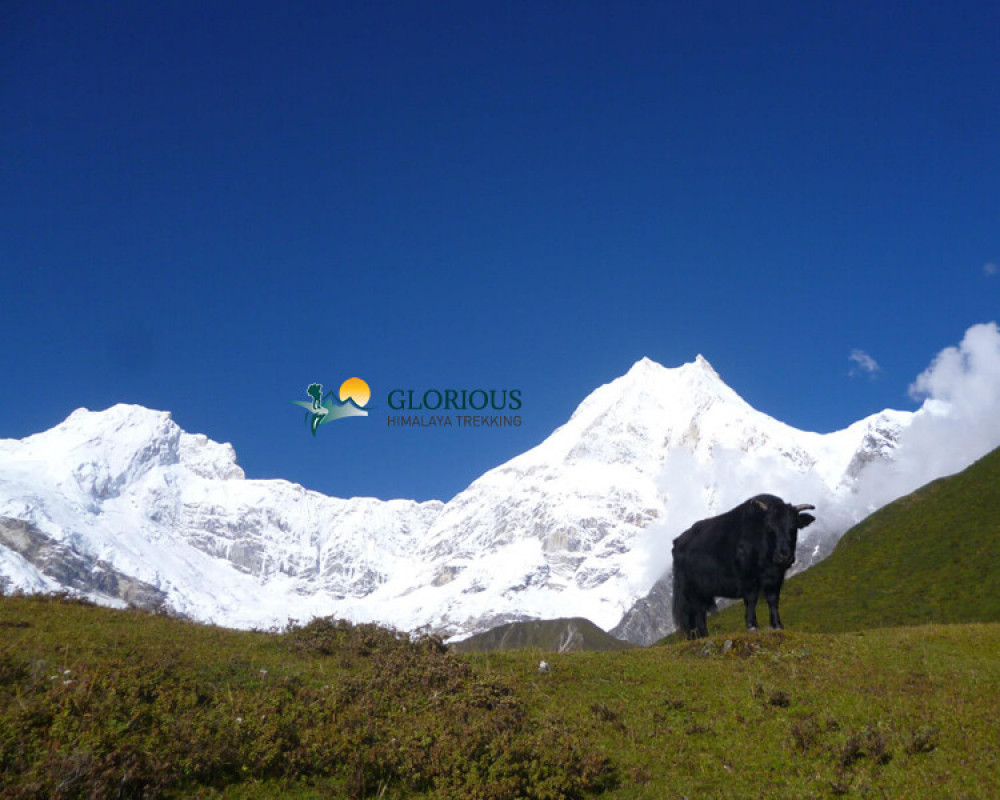 15 Days Manaslu Circuit Trek