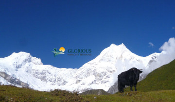 A picture of 15 Days Manaslu Circuit Trek