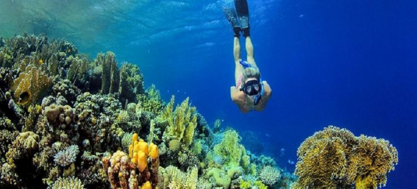 Giftun Island Snorkeling Trip