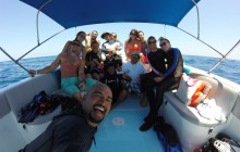 Whale Shark Encounter Full Day Tour from Riviera Maya