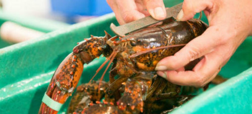 Kennebunkport: A Tasty Lunchtime Walking Tour