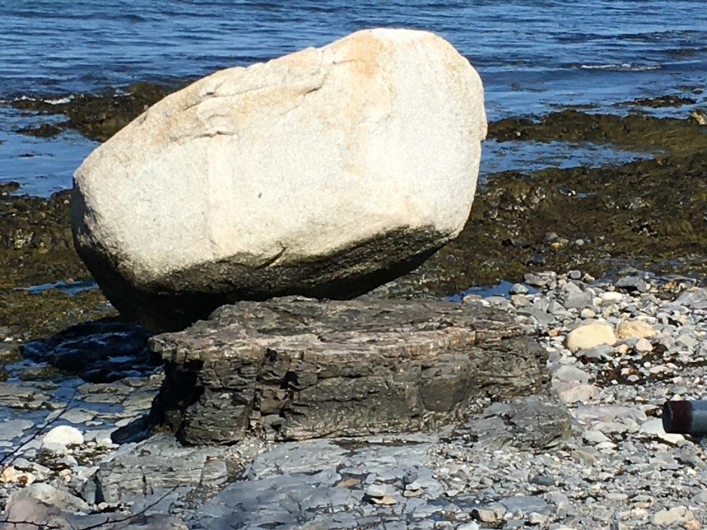 Bar Harbor's Walk Through Time - Guided History Tour of LaRochelle Mansion