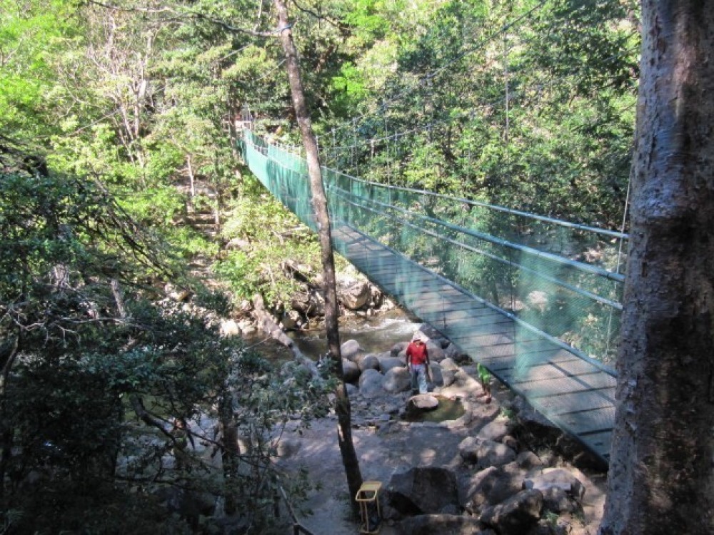 Cano Negro Wildlife Refuge