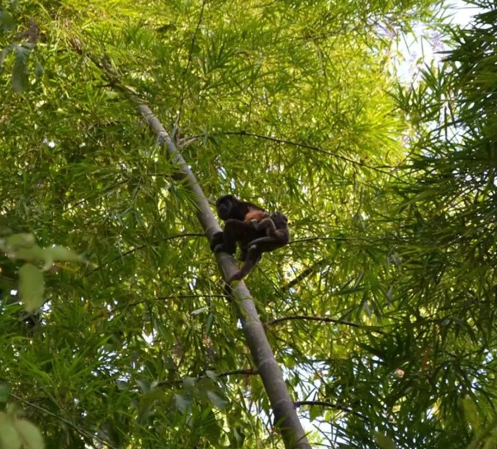 Private Tour: Fishermen And Pacoche Humid Forest Walking Tour