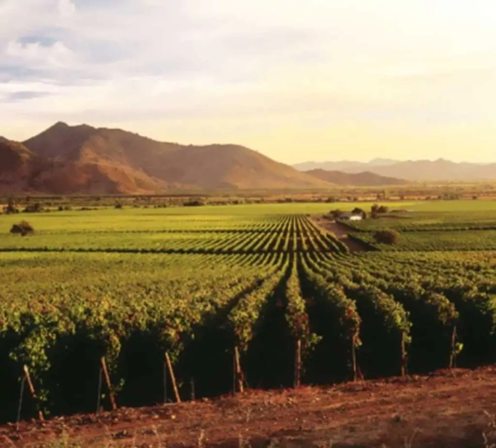 Guadalupe Valley Wineries (6 hours)
