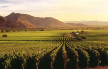 Top Private Tours1