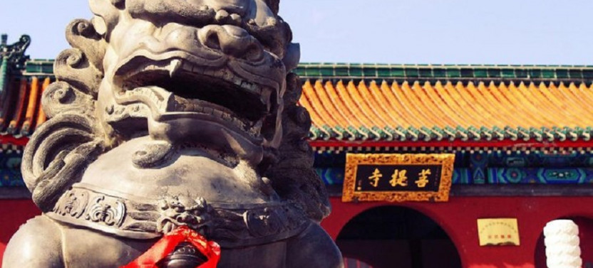 Private Day Tour to Shaolin Temple from Beijing by Bullet Train with Kungfu