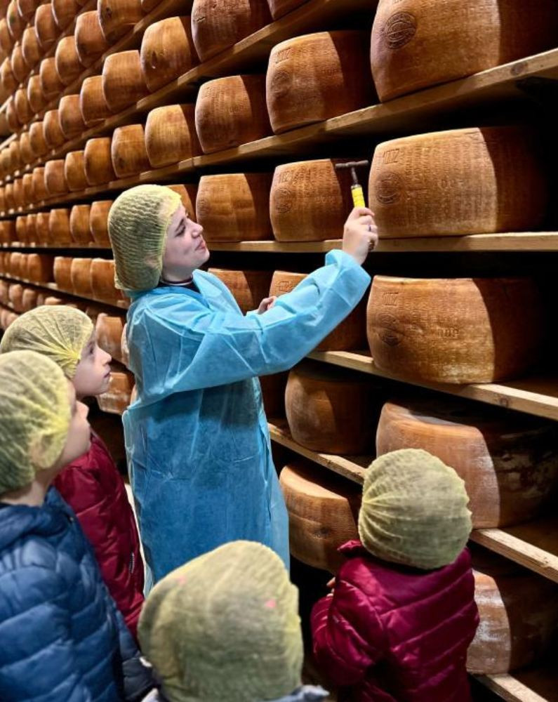 Parmigiano Reggiano Cheese Factory & Acetaia Malagoli Daniele