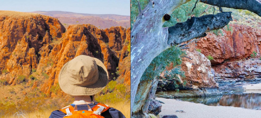 7 day East MacDonnell Ranges and Larapinta Trail Walk - PRIVATE GROUPS ONLY