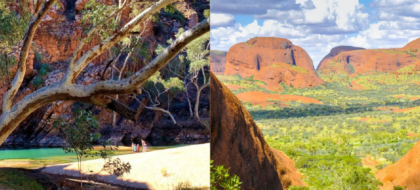 Larapinta Red Centre East Macs Walks – 11 Day East MacDonnell Ranges