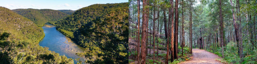 3 days The Great North Walk Private Tour