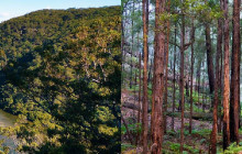 Life's an Adventure1