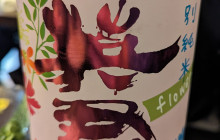 Pinpoint Traveler17