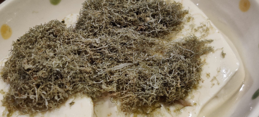 Beyond the Tourist Trail: A VIP Food Tour of Hidden Osaka