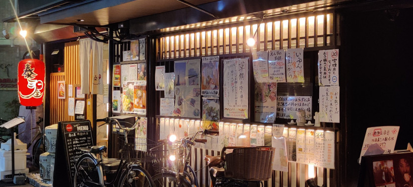Beyond the Tourist Trail: A VIP Food Tour of Hidden Osaka