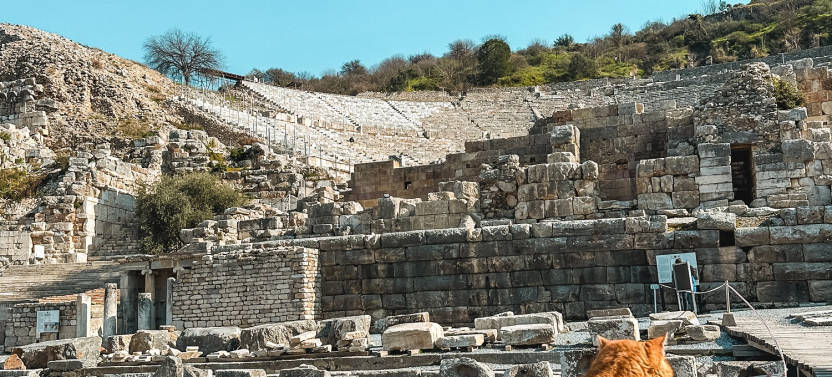 Kusadasi: Private Ephesus Half Day Tour