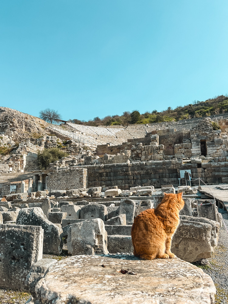 Private Half Day Ephesus Shore Excursion Tour