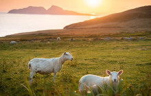 Railtours Ireland First Class Ltd.2