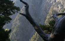 Samaria Gorge Tour from Chania - The Longest Gorge In Europe
