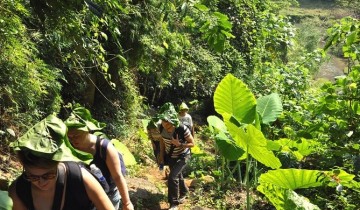 A picture of 4 Day Jungle Trekking in Ba Be National Park
