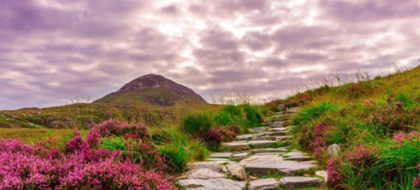 5 Day Tour from London to Dublin & The West Coast Explorer